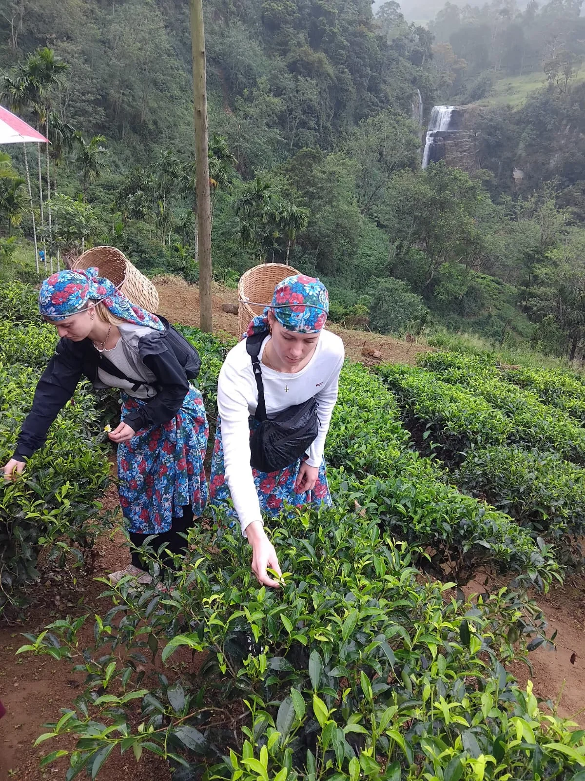 Cultural experience with local guide in Sri Lanka highlands